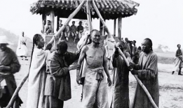 酷刑视频,视频揭示的残酷真相