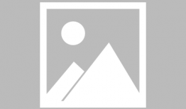 娱乐圈吃瓜QQ群,揭秘明星幕后生活，吃瓜群众狂欢盛宴