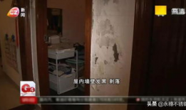 很黄很污的视频,一场“很黄很污”的视频狂欢